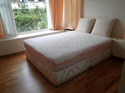 Parc Emily (D9), Condominium #575486601